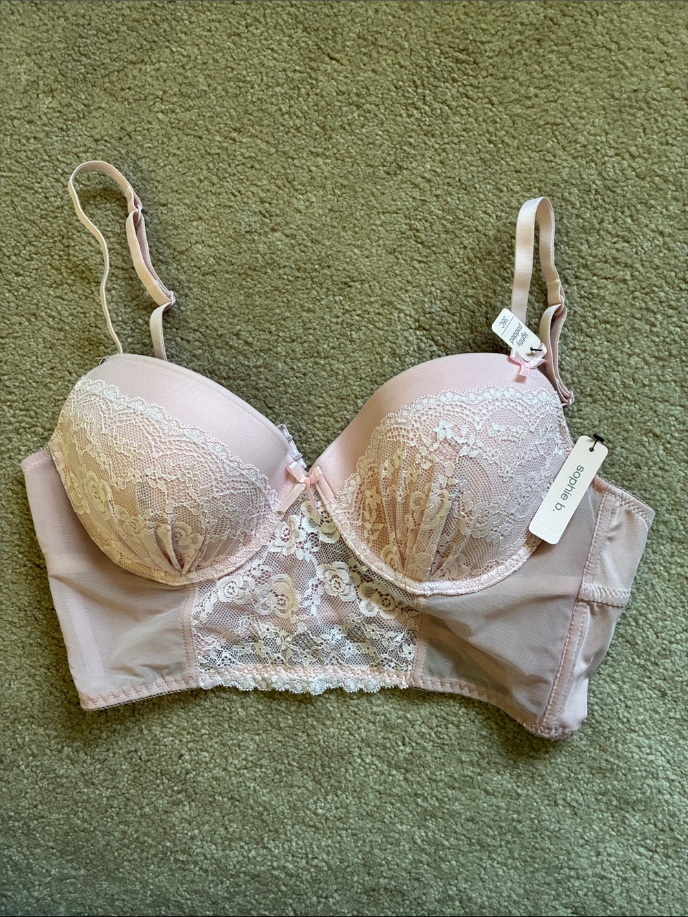 sophie b. Blush Pink Lace Coquette Victorian Bra - Size 36C